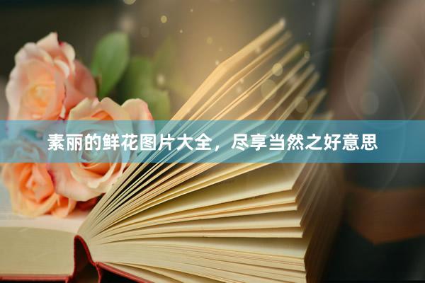 素丽的鲜花图片大全，尽享当然之好意思