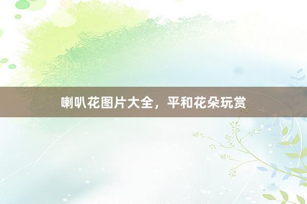 喇叭花图片大全，平和花朵玩赏