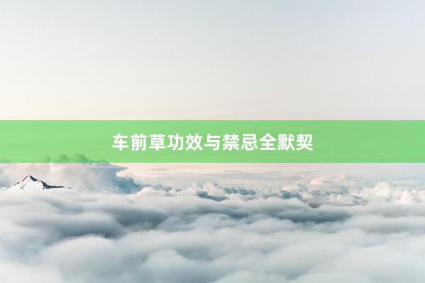 车前草功效与禁忌全默契
