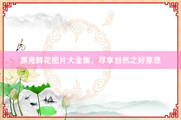 漂亮鲜花图片大全集,尽享当然之好意思